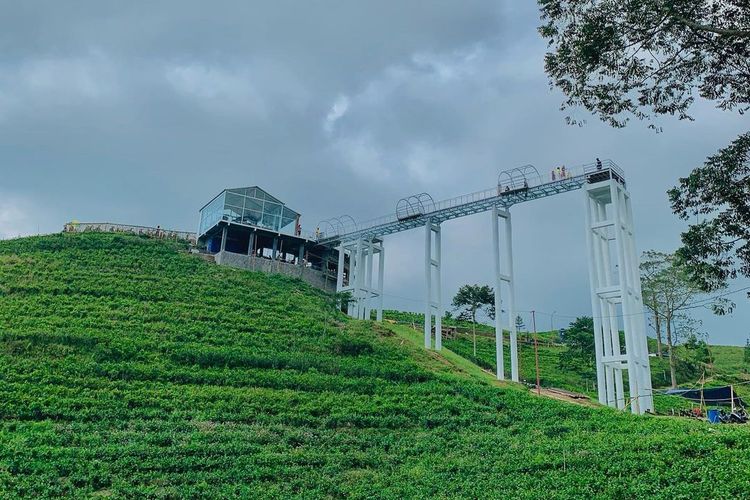 Kemuning Sky Hills di Karanganyar, Jawa Tengah, obyek wisata dengan wahana unggulan jembatan kaca sepanjang 65 meter di atas kebun teh