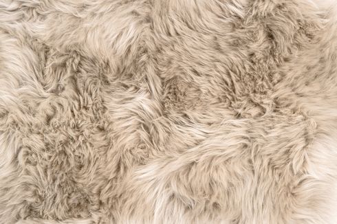 5 Cara Membersihkan Karpet Bulu agar Tetap Lembut
