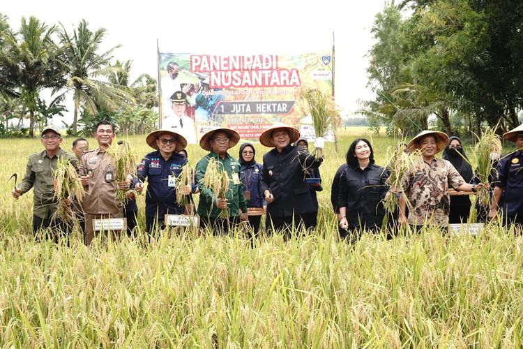 Kementerian Pertanian (Kementan) adalah mendorong peningkatan produksi pangan di Sumatera Selatan (Sumsel) menjelang Ramadhan dan menjaga harga beras pada masa panen raya, salah satunya yang terjadi di Kabupaten Ogan Komering Ulu (OKU) Timur.