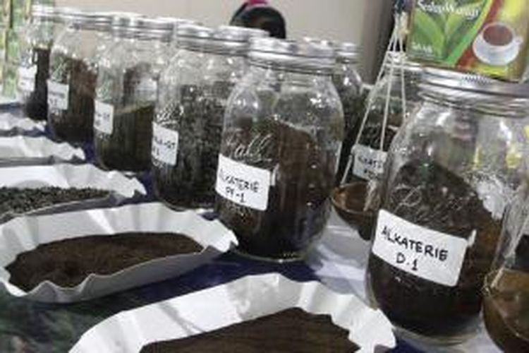 Beberapa Jenih Teh dalam 'Nusantara International Tea Festival'