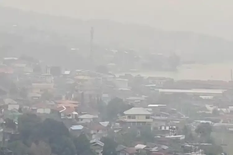 Kabut Asap Pekat Selimuti Papua Barat Daya, Fopera Minta Ditetapkan Bencana Nasional