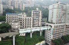 Angkot di Bogor Tertimpa Pohon Tumbang hingga Ringsek, Tak Ada Korban Jiwa