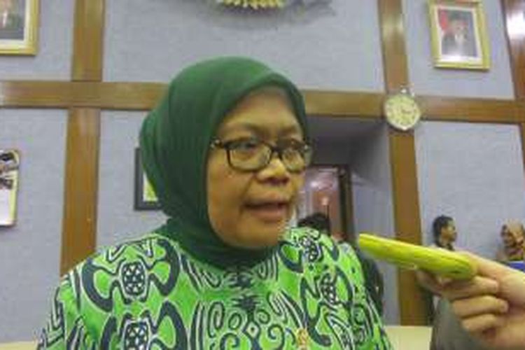 Wakil Ketua Komisi IX DPR, Ermalena di Kompleks Parlemen, Senayan, Jakarta, Rabu (13/7/2016)