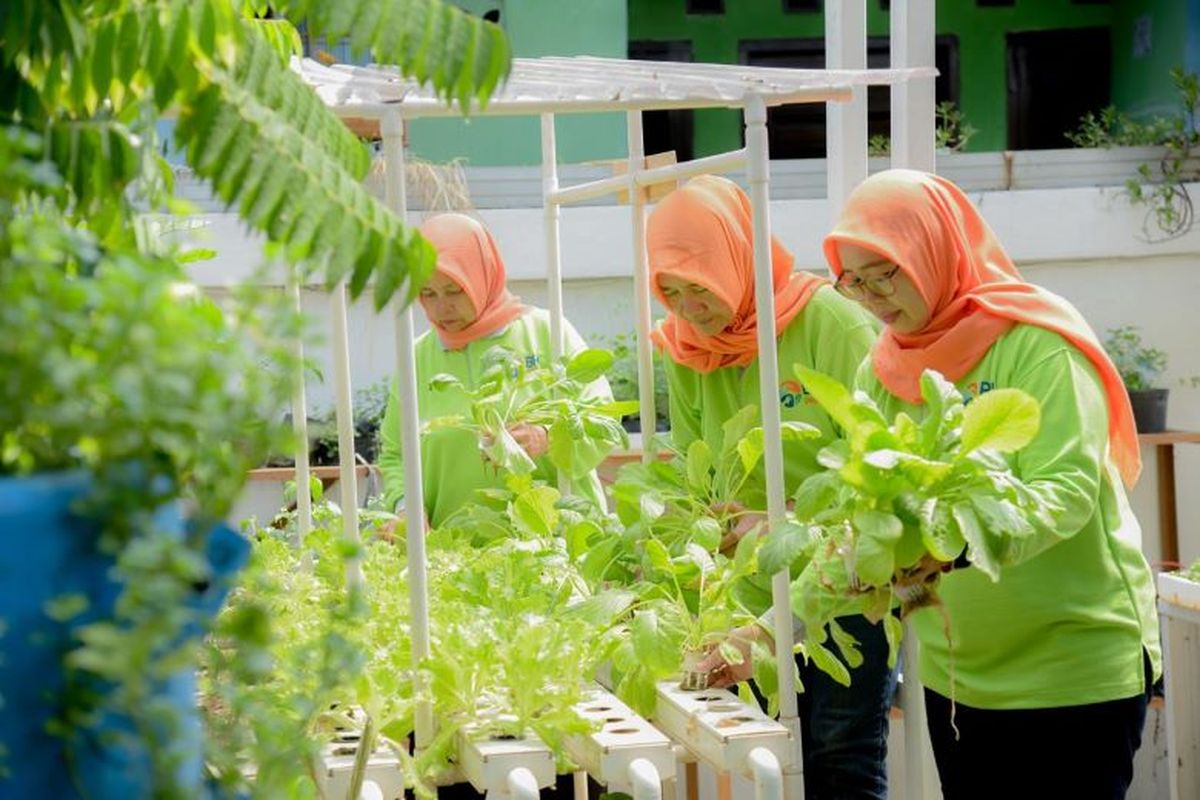 Poktan Dahlia 07 menggunakan metode penanaman hidroponik, multikultur, dan vertical garden untuk budi daya sejumlah komoditas, seperti bayam Brazil, kangkung, pakcoi, sawi, terung, dan tomat. 