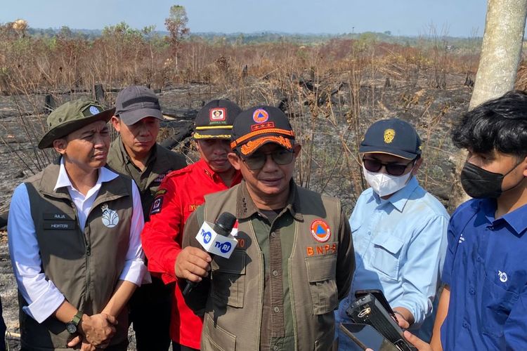BNPB: Karhutla di Kaltim Hanguskan 4.000 Lebih Hektare Lahan
