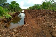 Korporasi Wajib Rawat Lahan Gambut di Area Konsesinya