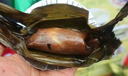 Kembangkan Diversifikasi Pangan Berbasis Sagu, Kementan Gandeng FAO