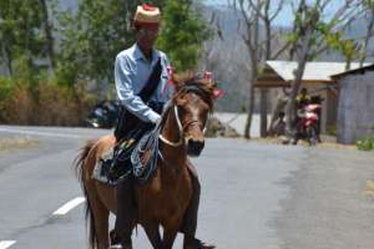 Penunggang kuda warga Suku Rongga di Kabupaten Manggarai Timur, Nusa Tenggara Timur, dengan pakaian adat.