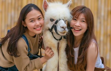10 Aktivitas Wisata di Scientia Square Park Tangerang, Lihat ...