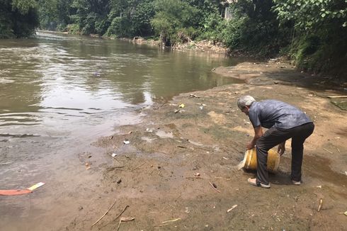 Anak Bulus Dikembalikan ke Sungai Ciliwung, Belum Langka tapi Penting untuk Ekosistem