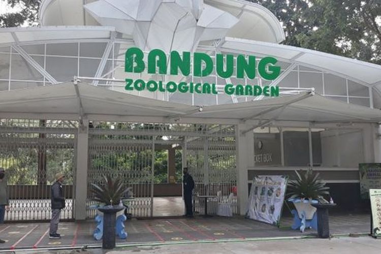 Bandung Zoological Garden diperbolehkan buka oleh pemerintah Kota Bandung pada Sabtu (27/06). Pengelola tempat itu mengklaim siap menerapkan protokol kesehatan yang ketat, baik bagi petugas, maupun pengunjung. 