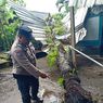Hujan Angin di Bali, Pohon Tumbang Timpa Rumah dan Warung Warga