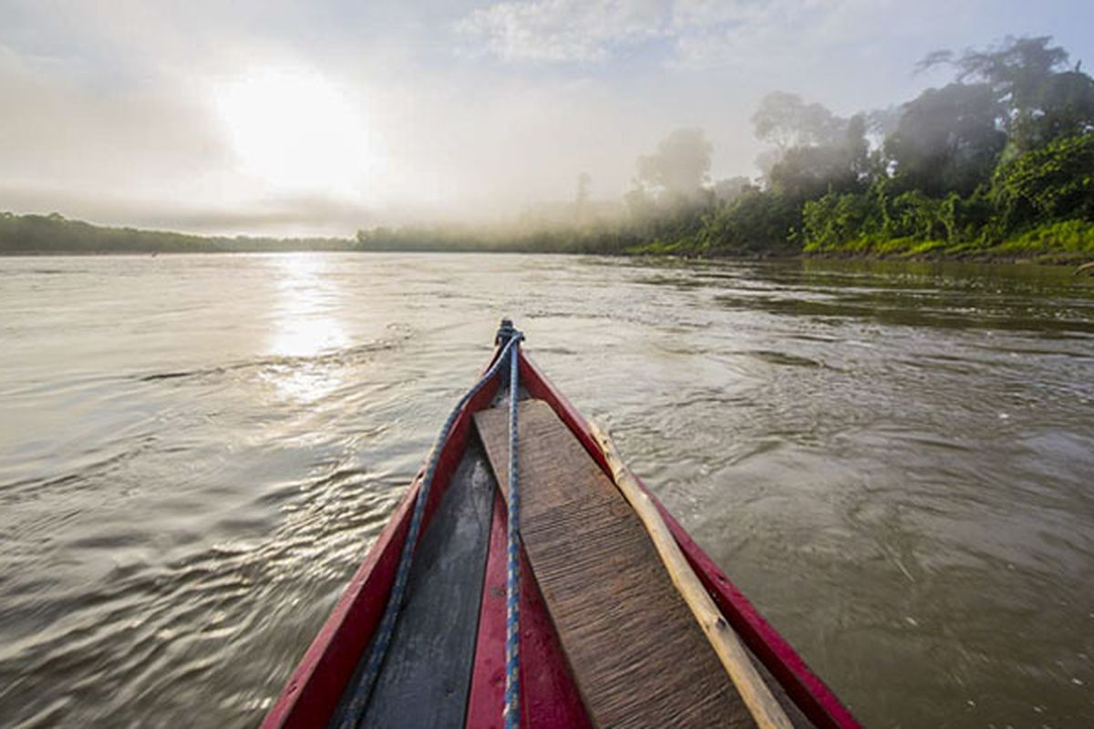 Sungai Manu di hutan Amazon, Peru