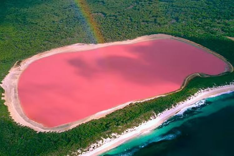Ratusan Danau di Australia Berwarna Pink, Ini Penjelasan Ilmiahnya