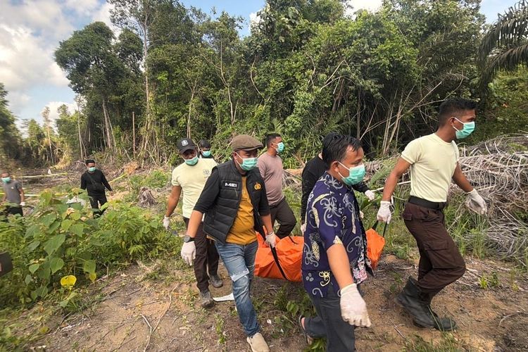 Putus Cinta, Pria di Ketapang Bunuh Mantan Kekasih, Korban Dikubur di Kebun Sawit