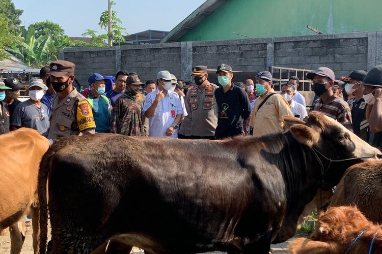 CEK HEWAN--Bupati Madiun, Ahmad Dawami (berkaos hitam) mengecek kondisi hewan ternak di Pasar Hewan Muneng, Kecamatan Pilangkenceng, Kabupaten Madiun, Jawa Timur, Rabu (18/5/2022). 