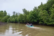 Cara agar Hutan Bakau tetap Lestari