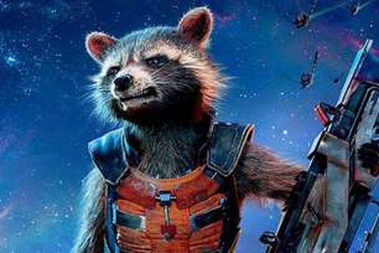 Rocket Raccoon