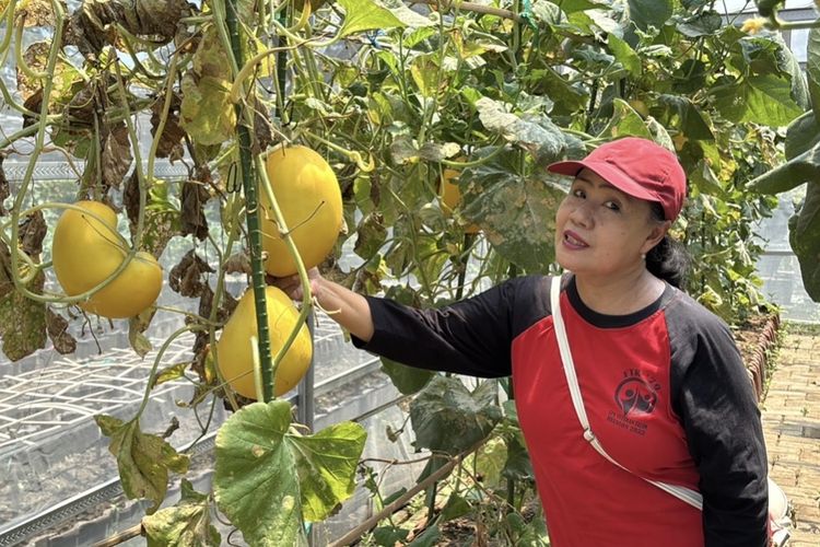 Kosagrha Lestari, Lahan Penuh Sampah yang Berubah Jadi Ruang Hijau Menghasilkan
