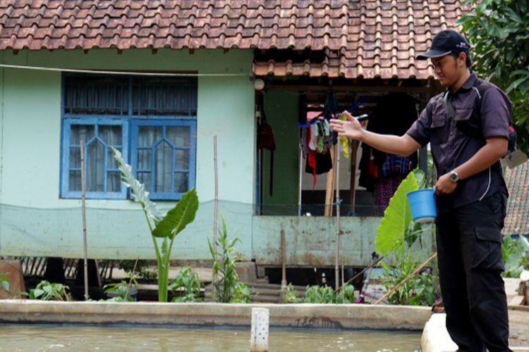 Ilustrasi budidaya ikan di kolam beton. 