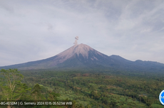 Selasa Pagi Gunung Semeru Alami Erupsi, Tinggi Kolom Letusan 700 Meter