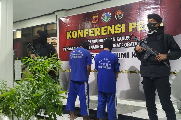 Dua polisi bersenjata api menjaga dua tersangka kasus kepemilikan daun ganja kering saat jumpa pers di Polres Sukabumi Kota, Jawa Barat, Sabtu (21/11/2020).
