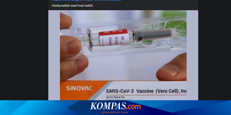 Kabar Viral Kandungan Dalam Vaksin Sinovac Benarkah Tidak Halal Halaman All Kompas Com