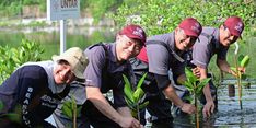 Peduli Lingkungan, Untar Tanam 650 Bibit Mangrove dan Bersihkan Sampah Pantai Tanjung Pasir