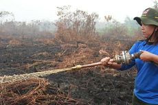 150 Hektar Lahan Gambut di Kubu Raya Ludes Terbakar