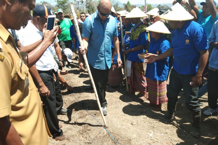 Gubernur NTT Viktor Bungtilu Laiskodat, saat menanam jagung di Kecamatan Noemuti, Kabupaten Timor Tengah Utara (TTU), NTT, Sabtu (8/9/2018)