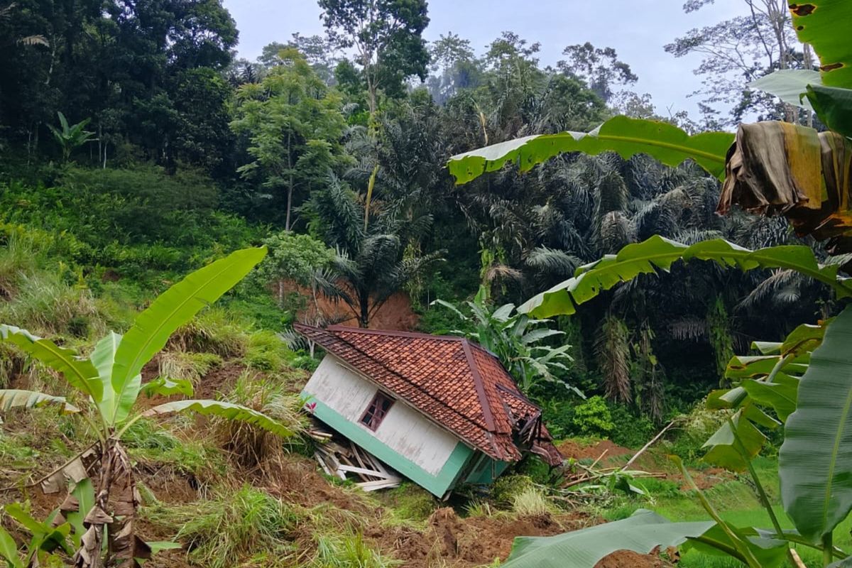 Kondisi salah satu rumah warga di Kabupaten Cianjur, Jawa Barat, yang rusak diterjang tanah longsor, Selasa (3/2/20206). Bencana alam seperti banjir dan longsor tak hanya merusak infrastruktur, tapi juga menghilangkan kesuburan tanah. Mengapa demikian?