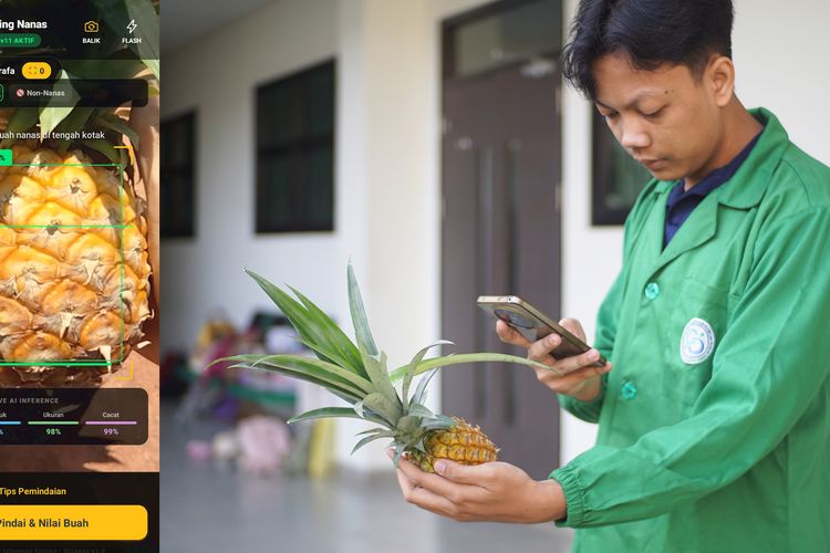 AI POLSUB Bikin Nanas Subang Naik Kelas, Harga Seragam hingga Ekspor
