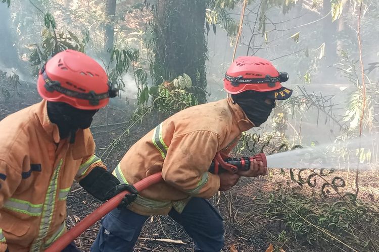 Petugas Damkar Kabupaten Semarang berupaya memadamkan api di Wana Wisata Penggaron