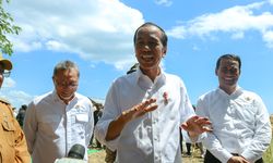 Harga Jagung Turun di Sumbawa, Presiden Jokowi: Hilirisasi Jadi Kunci Stabilkan Harga