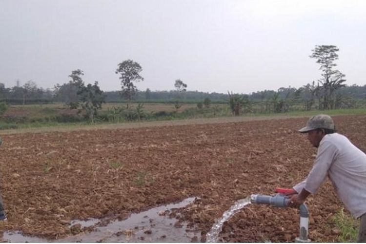 Program irigasi perpompaan dan irigasi perpipaan untuk kelompok pertanian di Lampung Selatan yang diberikan oleh Kementerian Pertanian, Senin (4/4/2022). 