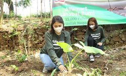 Peringati Hari Bumi, Alfamart Tanam 15.000 Pohon untuk Indonesia