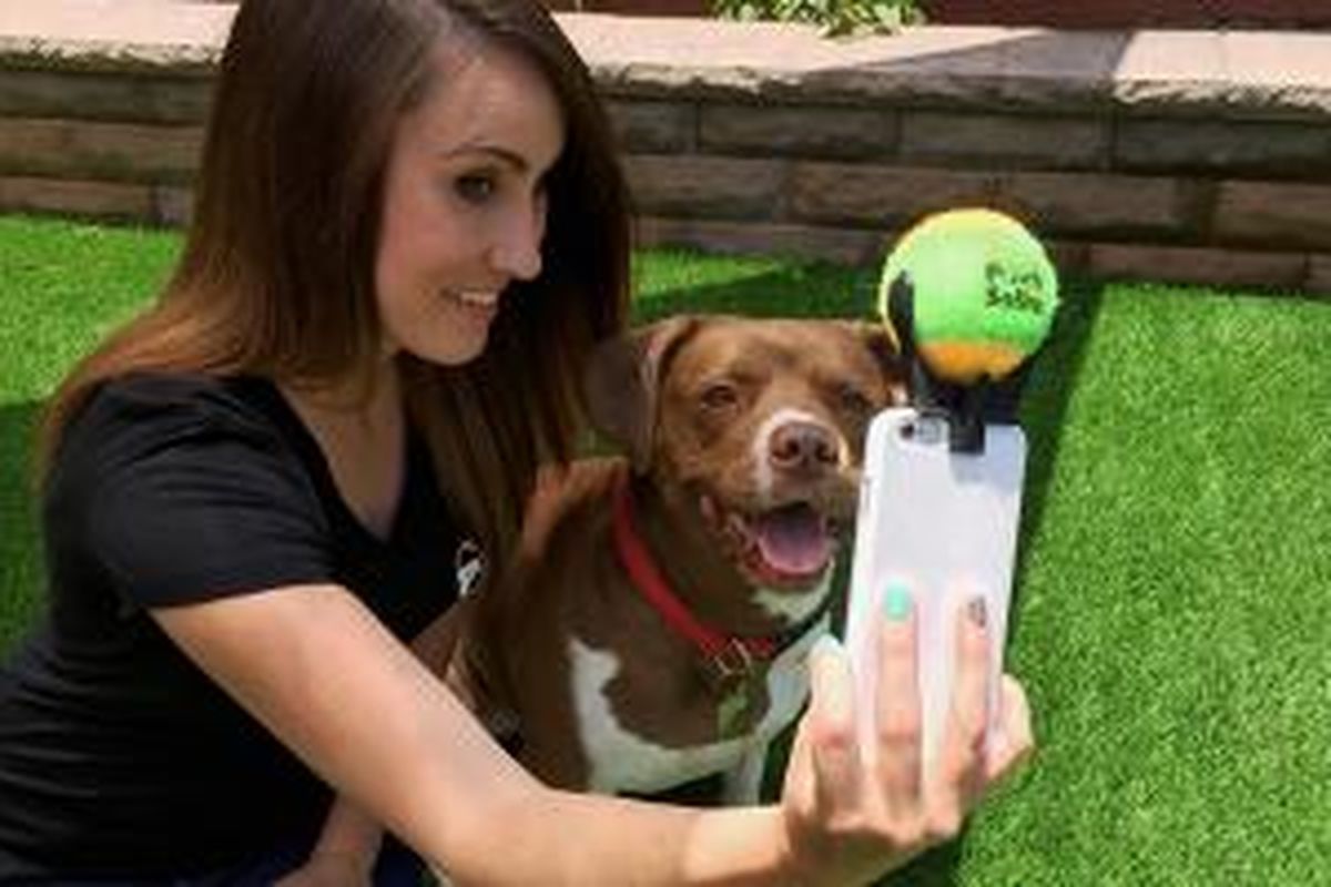 Foto selfie bersama anjing kesayangan dapat dilakukan dengan mudah tanpa hambatan dengan hadirnya alat baru yang dinamakan Pooch Selfie. 