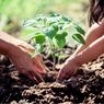 5 Langkah untuk Peringati Hari Hutan Sedunia
