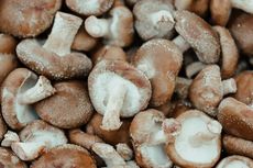 Apa Itu Shiitake, Jamur Asal Jepang yang Rasanya Umami?