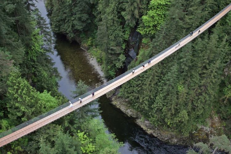 Jembatan Gantung Capilano