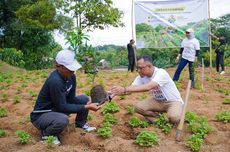 Gelar Edukasi dan Bagikan Bibit Tanaman Produktif, Begini Wujud Komitmen PGN dalam Menjaga Ketahanan Pangan dan Lingkungan di Gunungpati Semarang