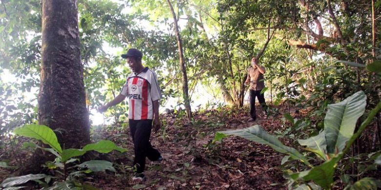 Jalur trekking di kawasan Taman Nasional Ujung Kulon, Kabupaten Pandeglang, Banten, Jumat (1/5/2015). 