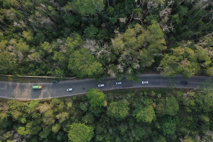 Foto aerial Taman Hutan Raya (Tahura) Bukit Soeharto yang merupakan hutan konservasi di kawasan ibu kota negara baru, Kutai Kartanegara, Kalimantan Timur