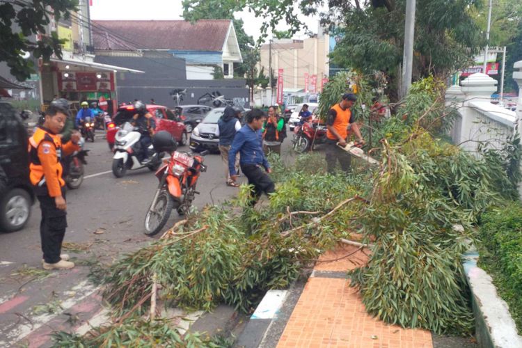 Petugas BPBD membersihkan dahan pohon tumbang di Jalan Suryakancana, Sukabumi, Jawa Barat, Rabu (14/11/2018).