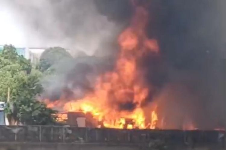 Area Alang-alang Dekat Taman Hutan Kota Pejagalan Jakut Terbakar, Api Berhasil Dilokalisasi