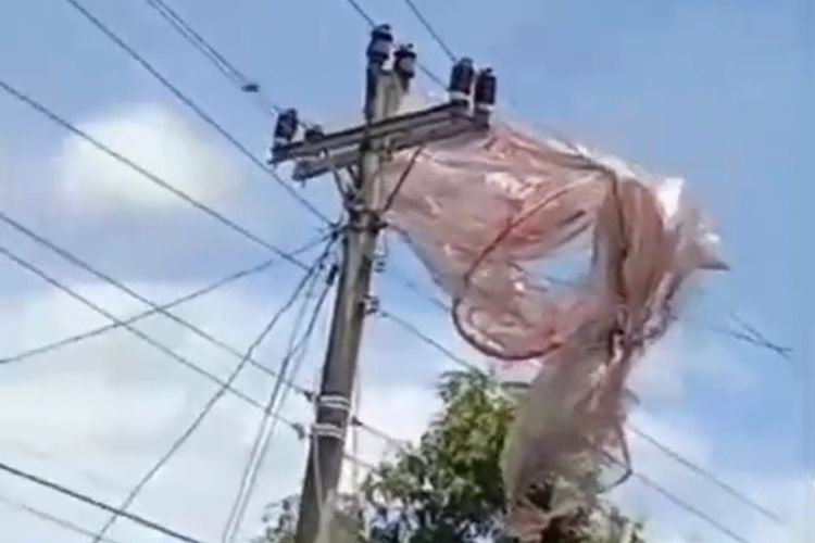 TERSANGKUT: Sebuah balon udara terlihat nyangkut di jaringan listrik di Kalurahan Genjahan, Ponjong, Gunungkidul, DIY, Rabu (17/4/2024)