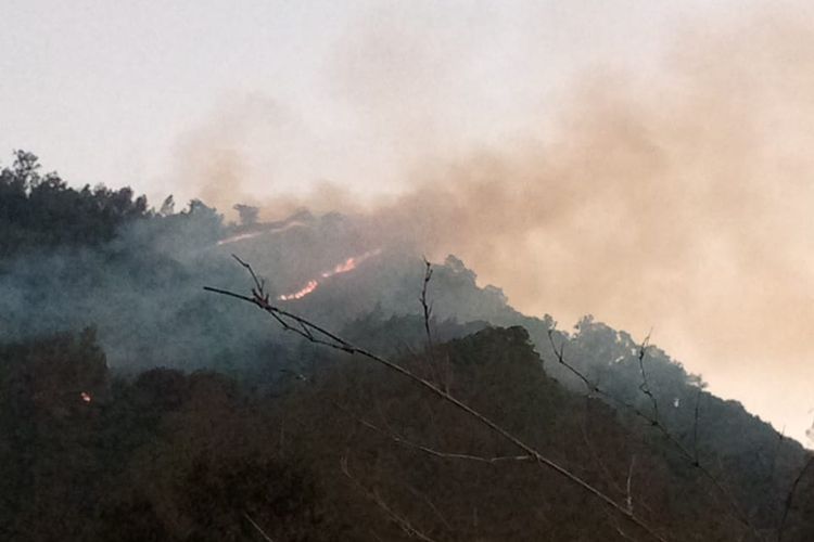 Penampakan kebakaran hutan dan lahan di kawasan hutan lindung Coban Rondo, Resort Pemangkuan Hutan Pujon Selatan, Kecamatan Pujon, Kabupaten Malang, Selasa (27/8/2024).