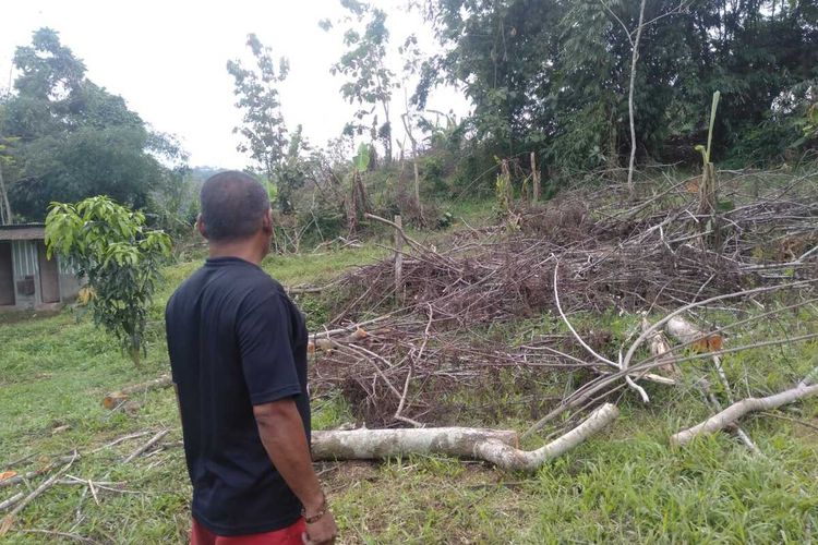 Warga Kedungpane, Agung menjelaskan wilayah sabuk hijau Waduk Jatibarang Semarang yang ditebangi secara ilegal. Selasa (10/1/2023).