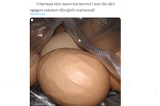 Ramai Unggahan soal Telur Ayam Bergelombang Disebut Berotot, Amankah Dikonsumsi?