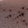 2 Dekade Jadi Misteri, Teka-teki Laba-laba di Mars Terpecahkan
